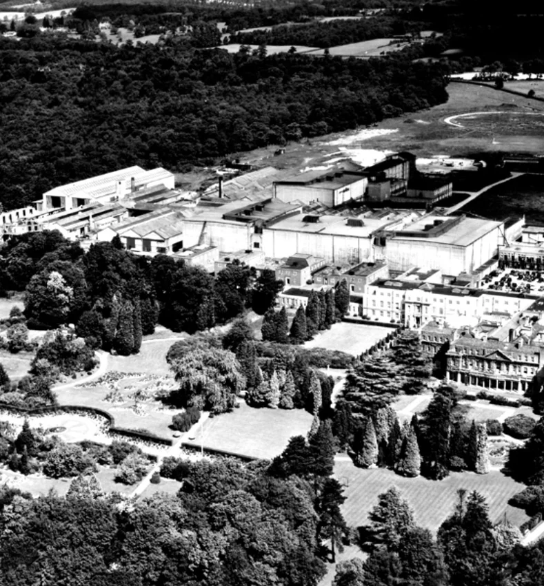 Pinewood